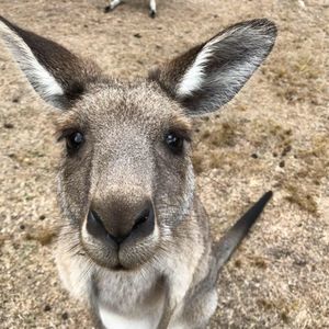 Meet your Posher, Resa